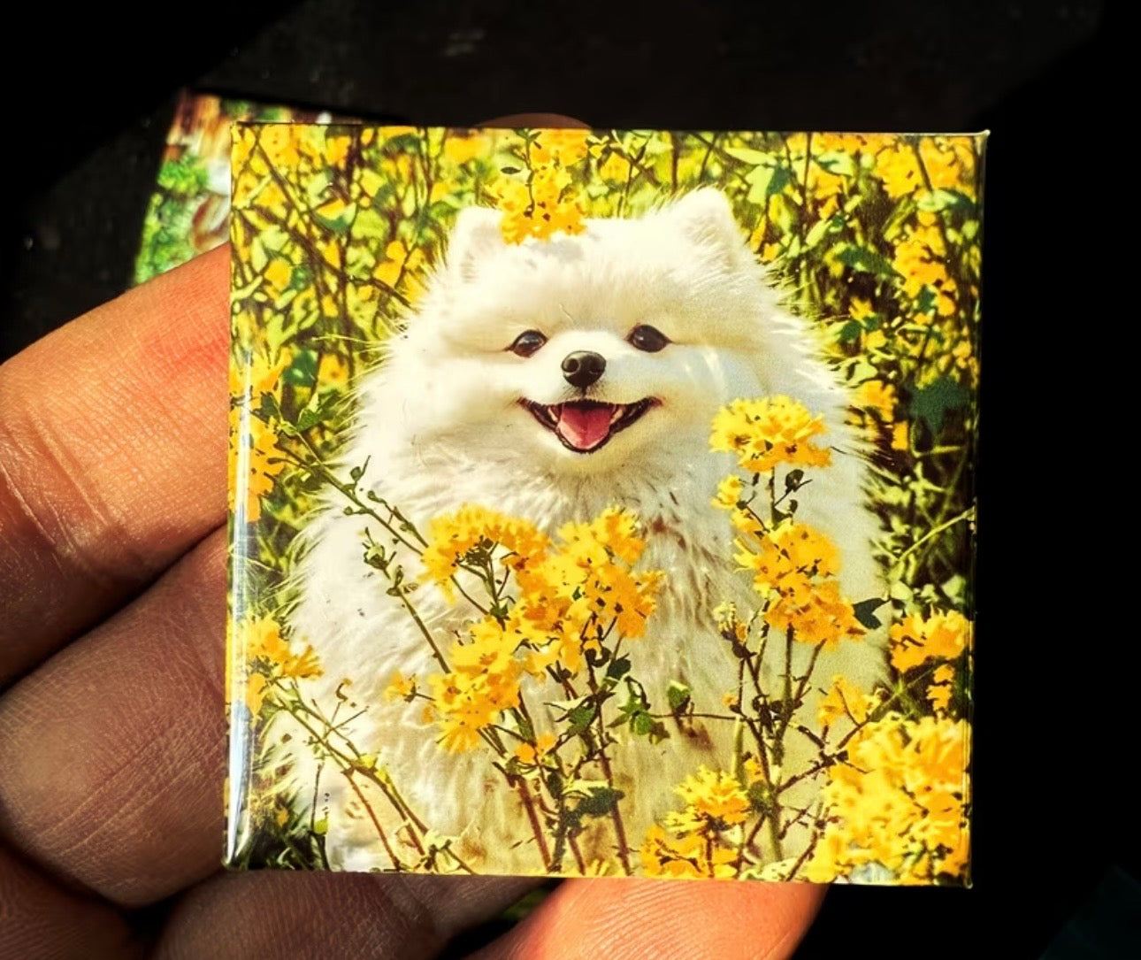Custom photo magnet handcrafted in Dunedin, New Zealand – FridgeIT Moments