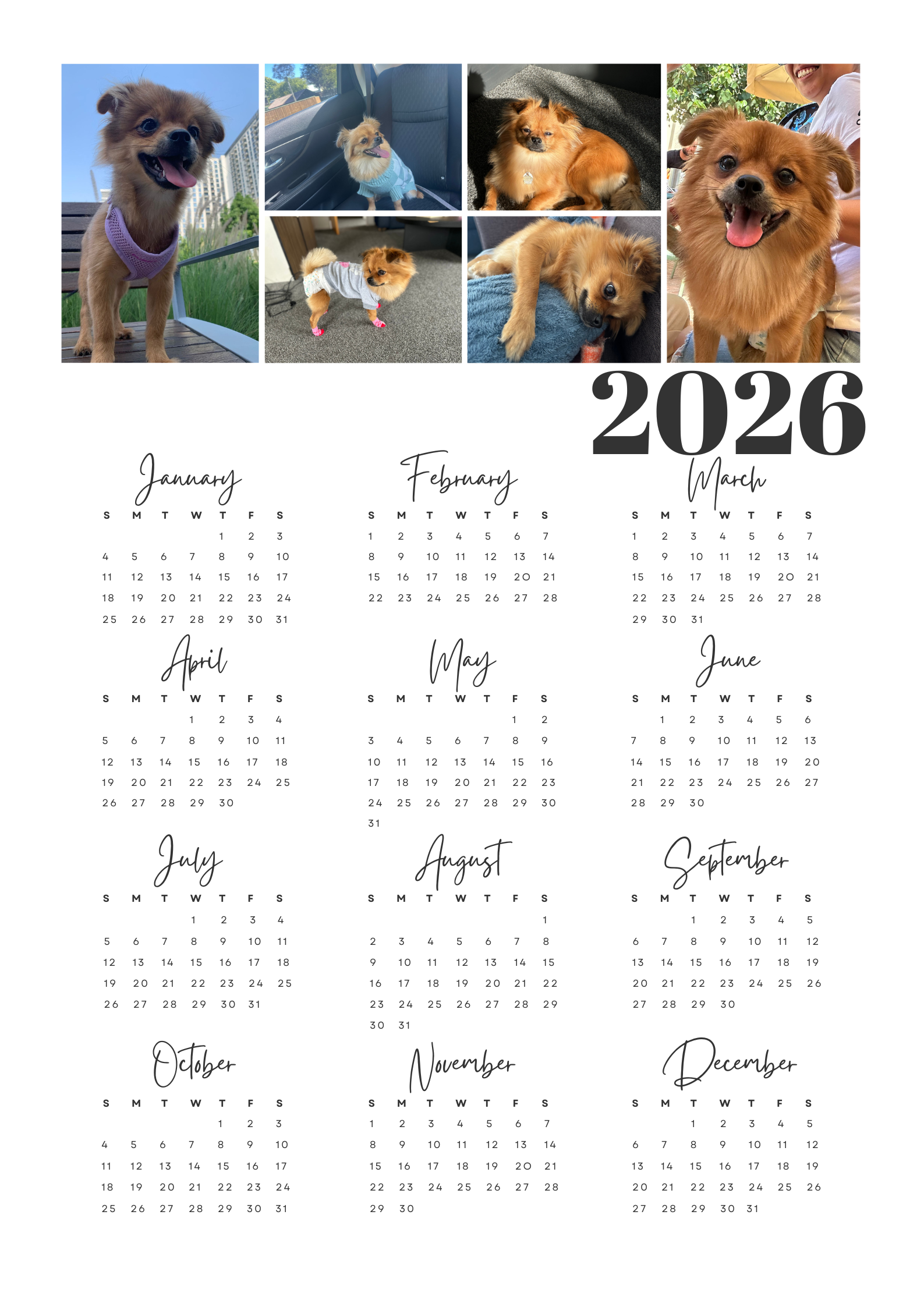 Personalized Custom photo magnetic calendar 2026 handcrafted in Dunedin, New Zealand – FridgeIT Moments